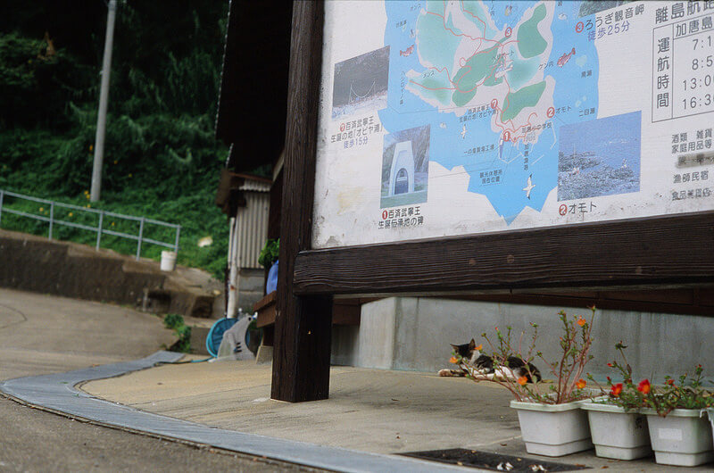 佐賀県唐津市加唐島