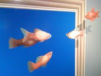 トリックアート