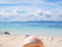 ビーチ イメージ