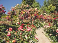 ブッチャート・ガーデン