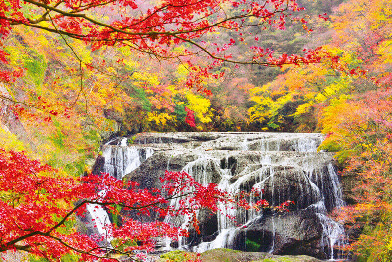 袋田の滝 紅葉