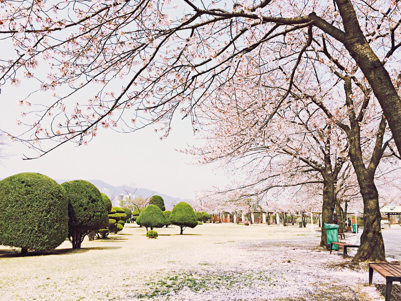 競馬公園
