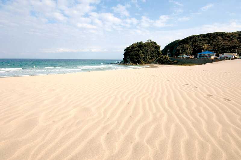 下田市白浜