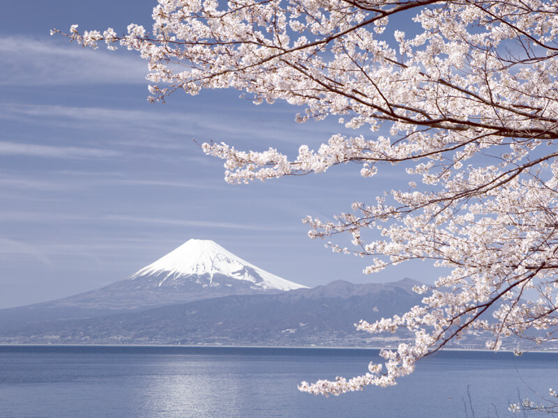 富士山