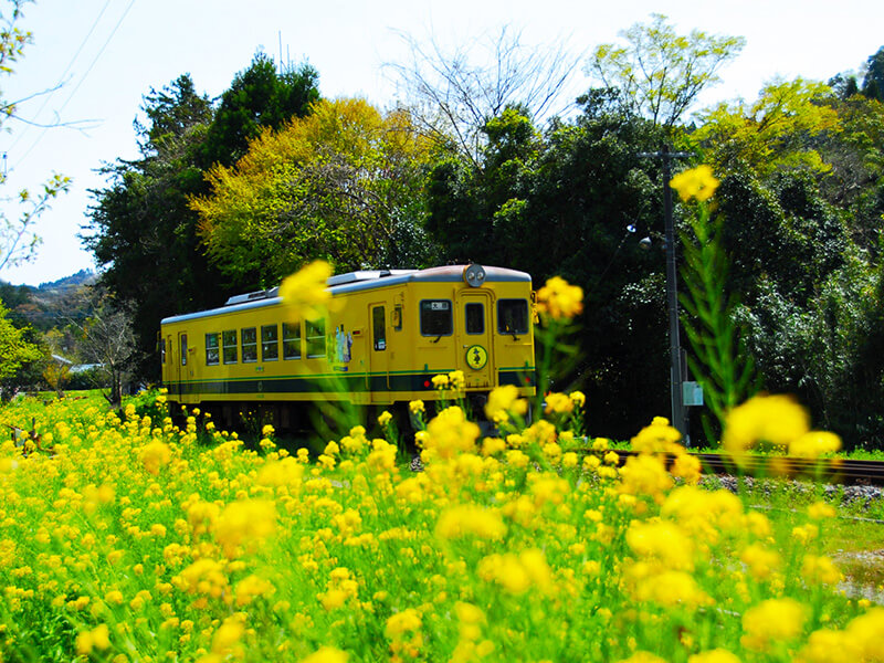 ムーミン列車