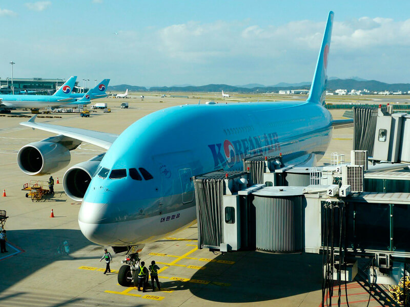 飛行機