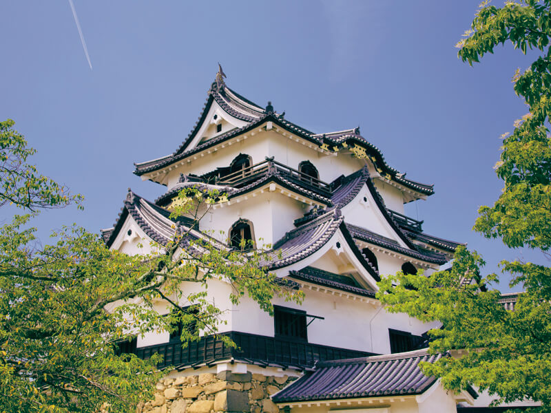 彦根城