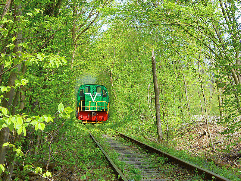 愛のトンネル
