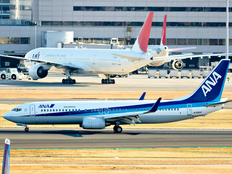 ANAとJALの飛行機