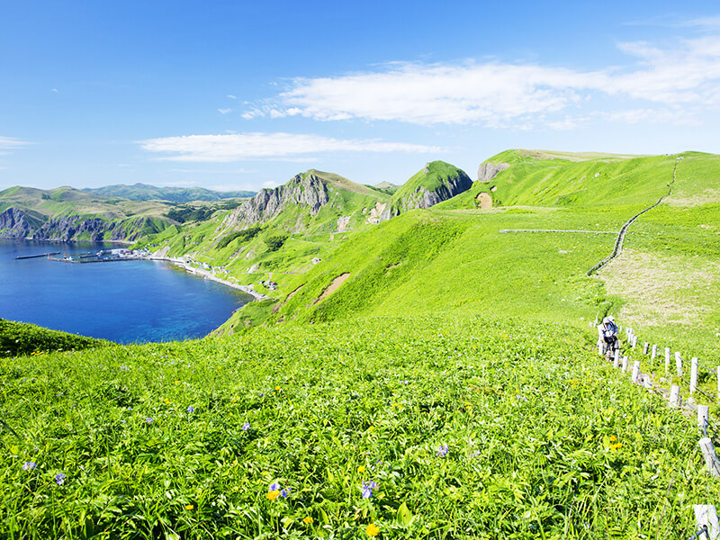 礼文島の大自然