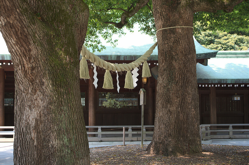 夫婦楠