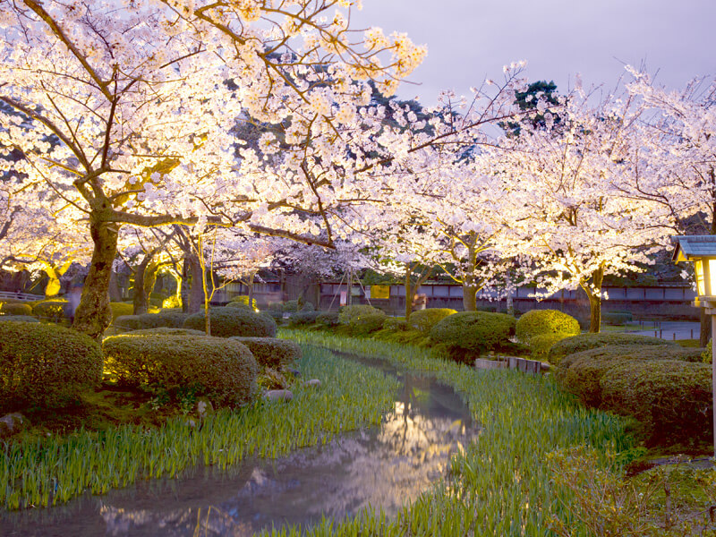 兼六園のライトアップ