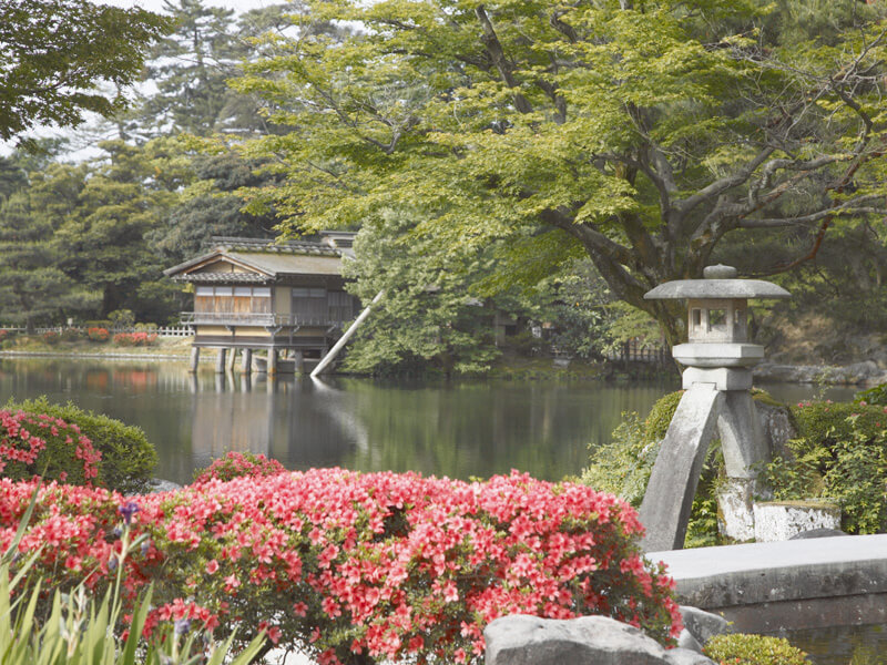 つつじの時期の兼六園