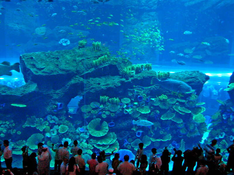 ドバイモールの水族館