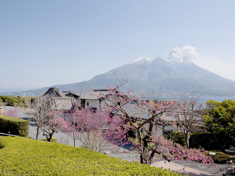 桜島