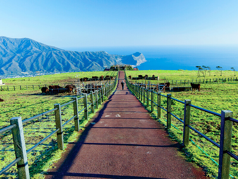 八丈島