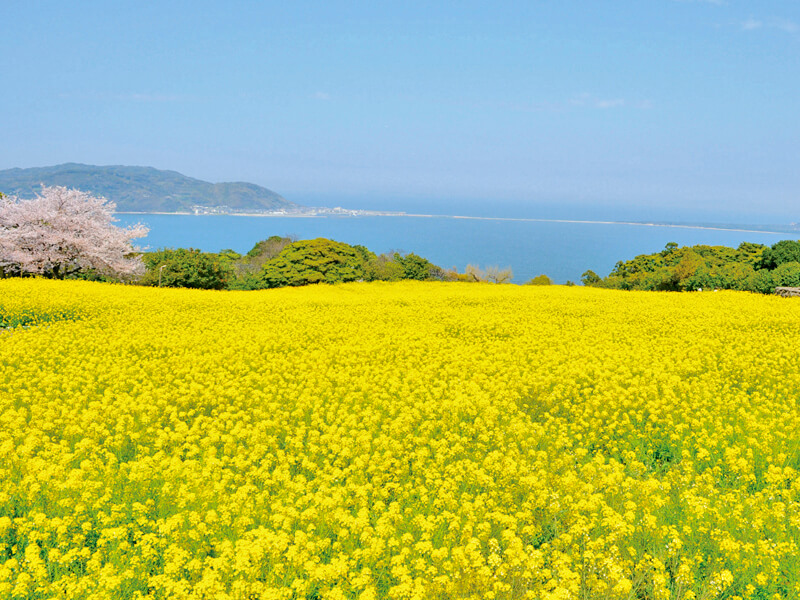 能古島