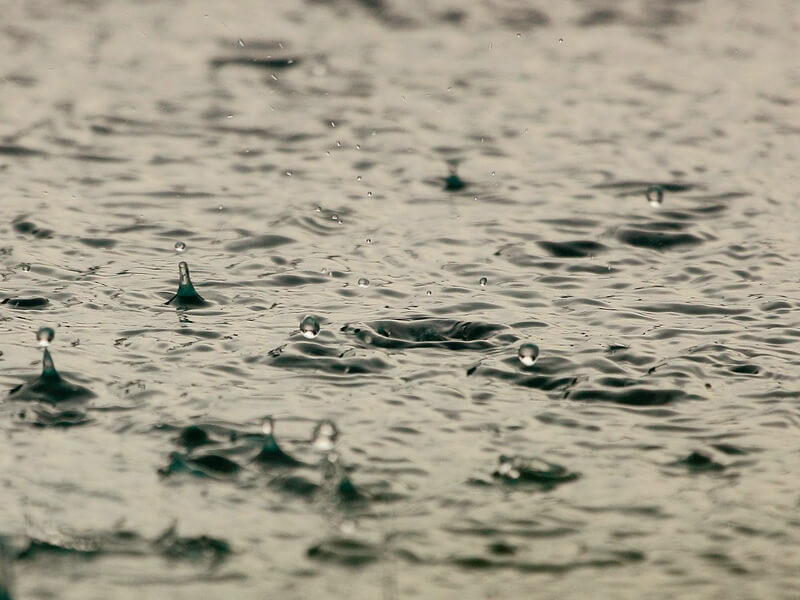 雨