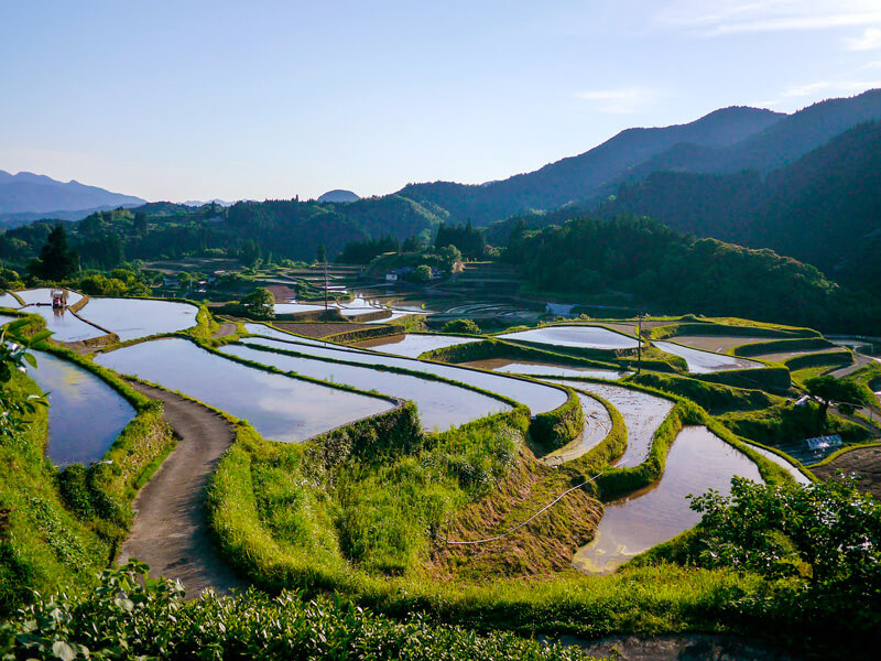 田舎の景色