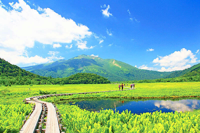 尾瀬
