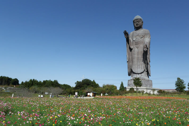 牛久大仏