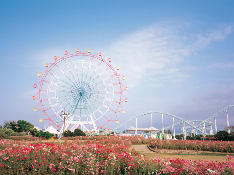 海の中道海浜公園