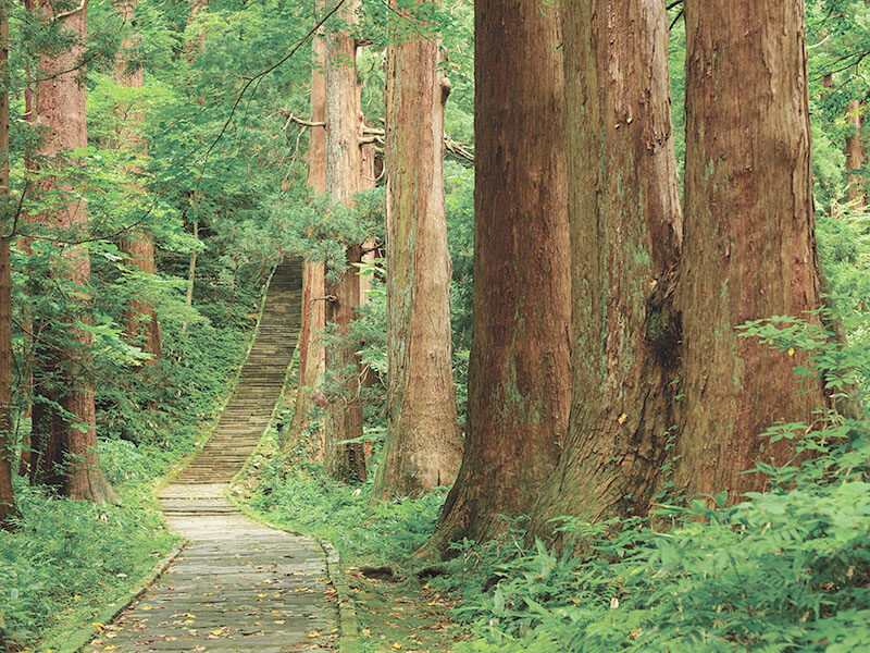 山形の自然