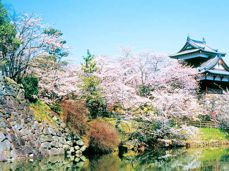 郡山城跡