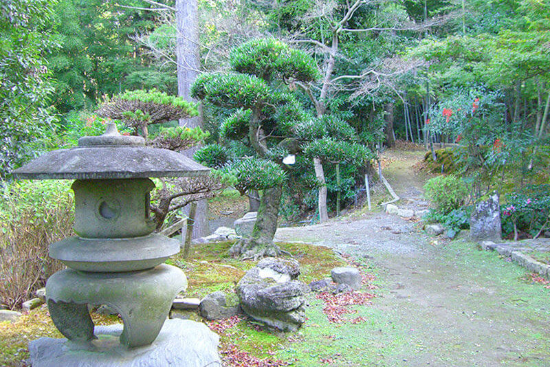岡寺