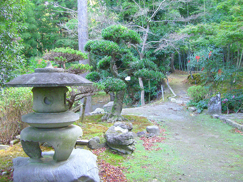 岡寺