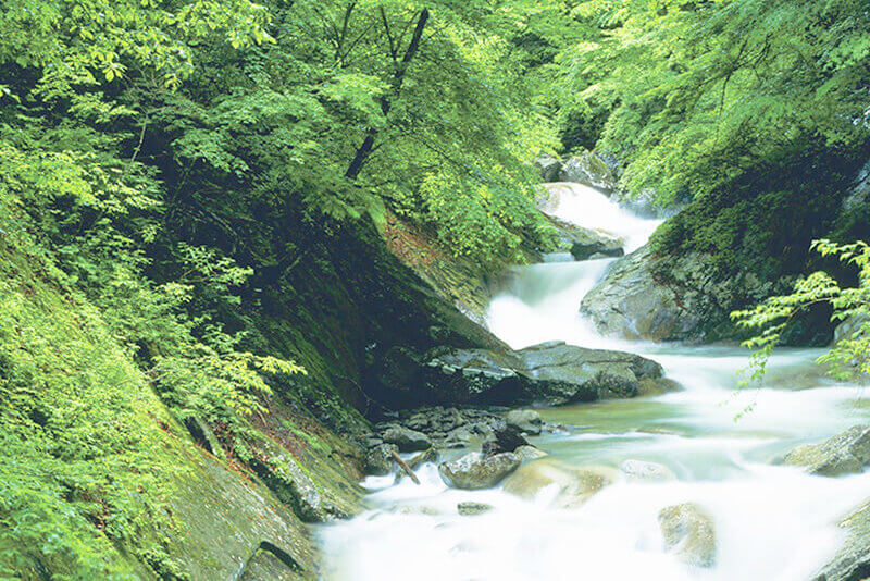 西沢渓谷
