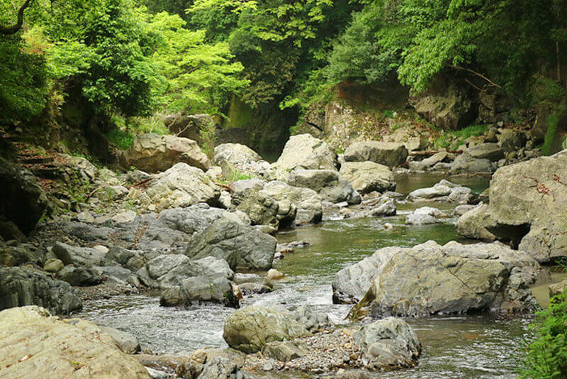 摂津峡川べりランチ