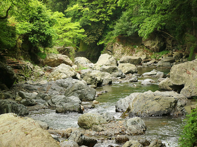 摂津峡川べりランチ