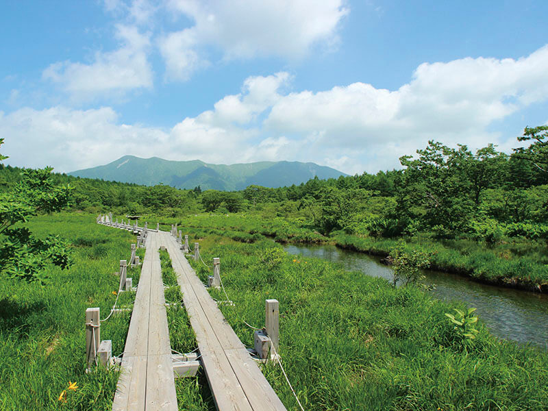 沼ッ原湿原