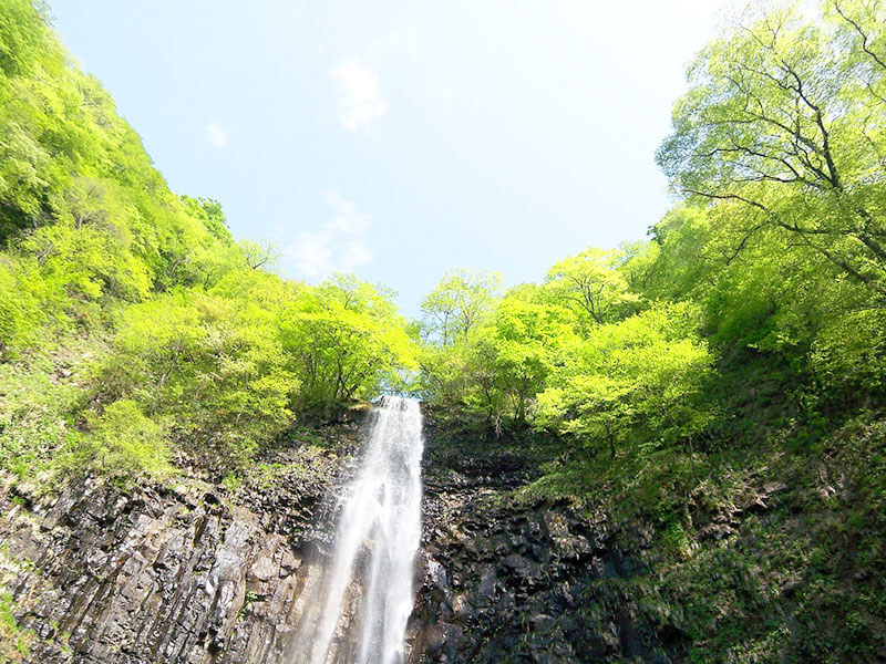玉簾の滝