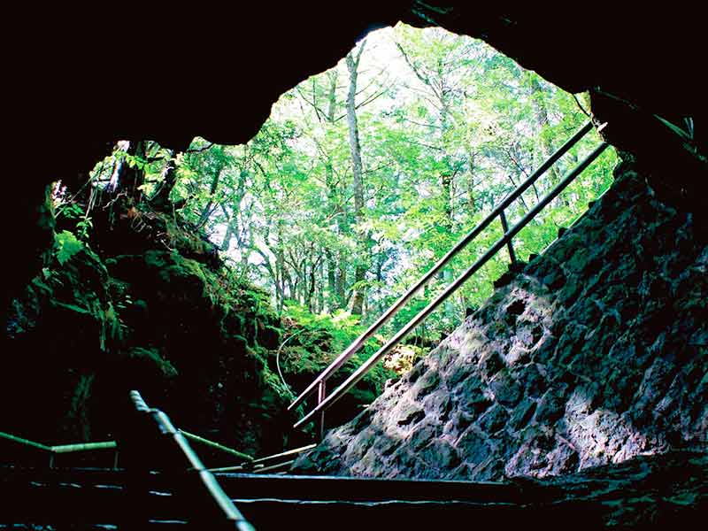 富岳風穴の画像