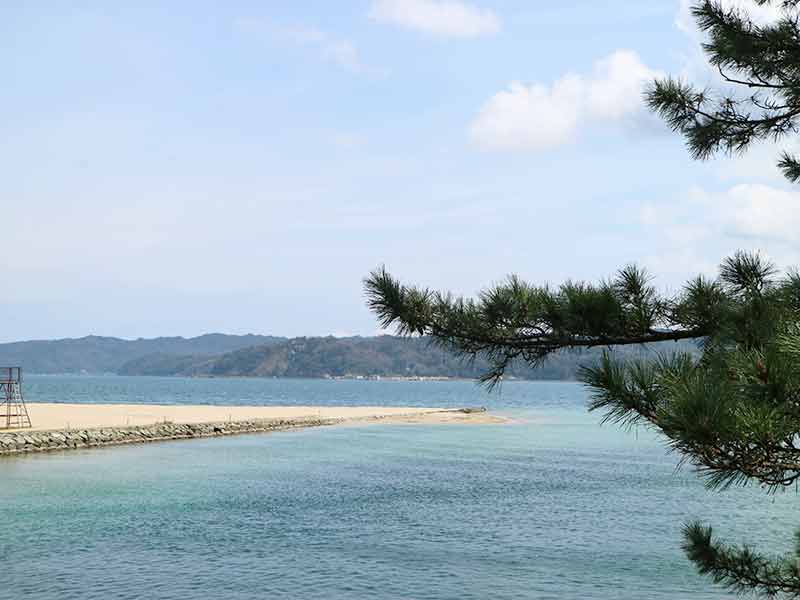 天橋立サイクリングロード