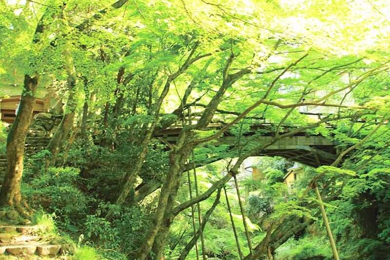山中温泉 こおろぎ橋