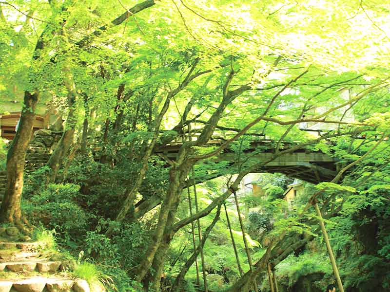 山中温泉 こおろぎ橋