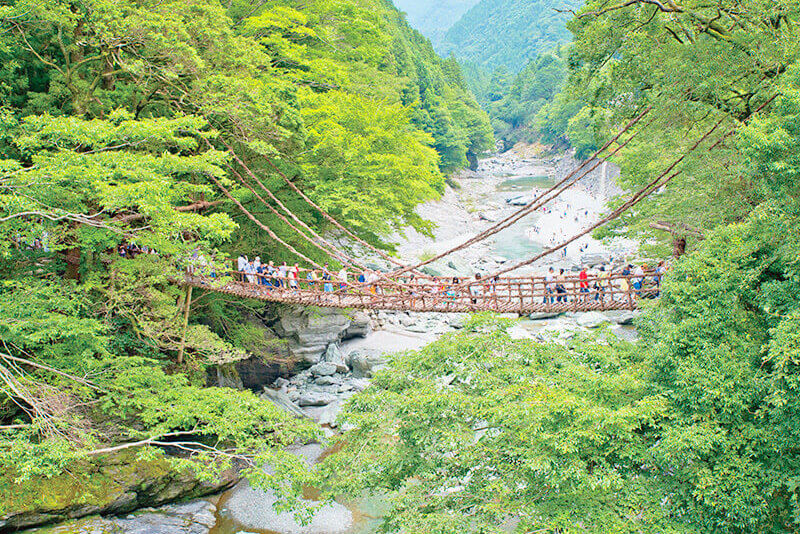 祖谷のかずら橋