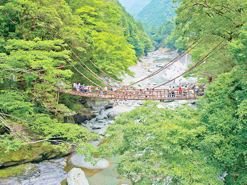 祖谷のかずら橋