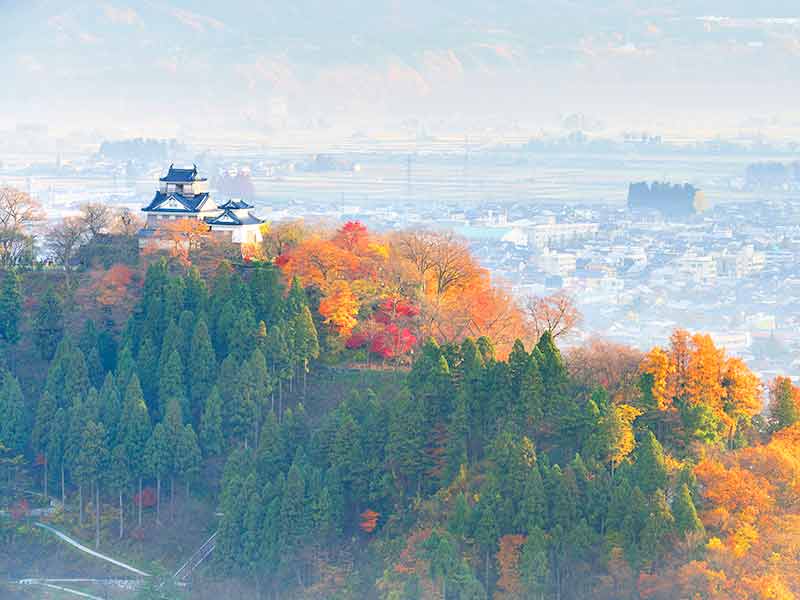 大野城 紅葉