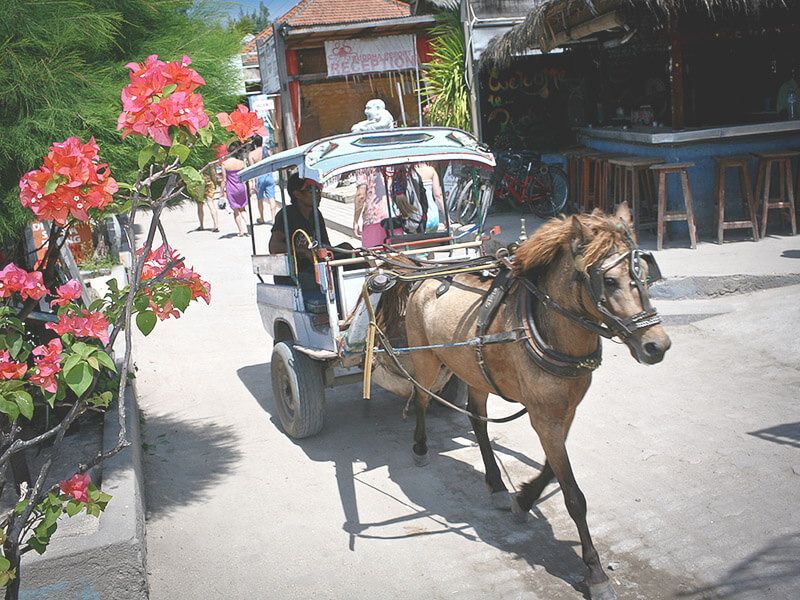 ギリ島の馬車