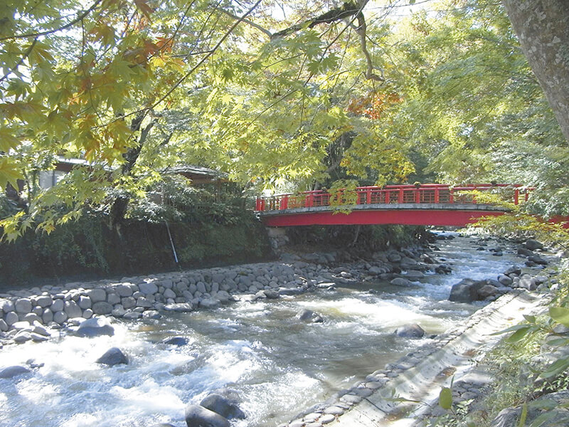 修善寺 桂橋 桂川