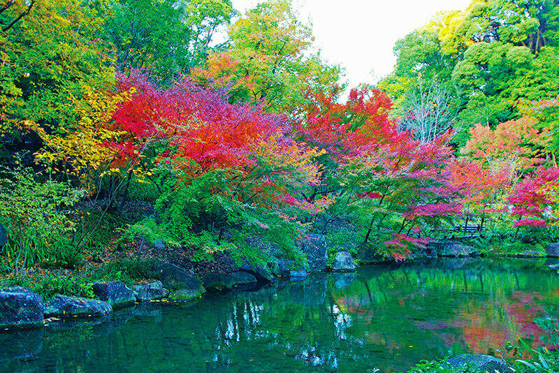 徳川園の画像