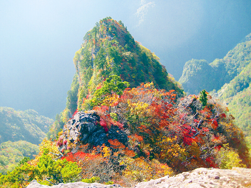 大台ヶ原の紅葉 大蛇嵓