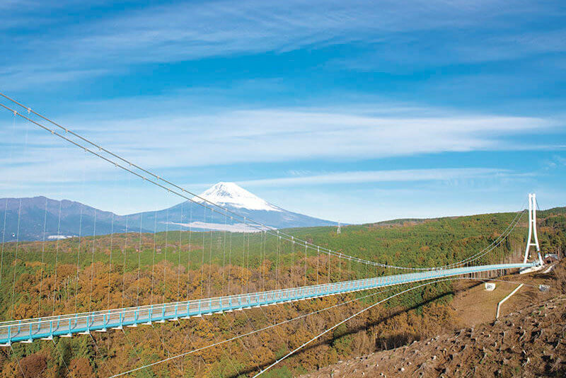 三島スカイウォークから望む富士山