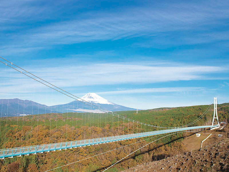 三島スカイウォークから望む富士山