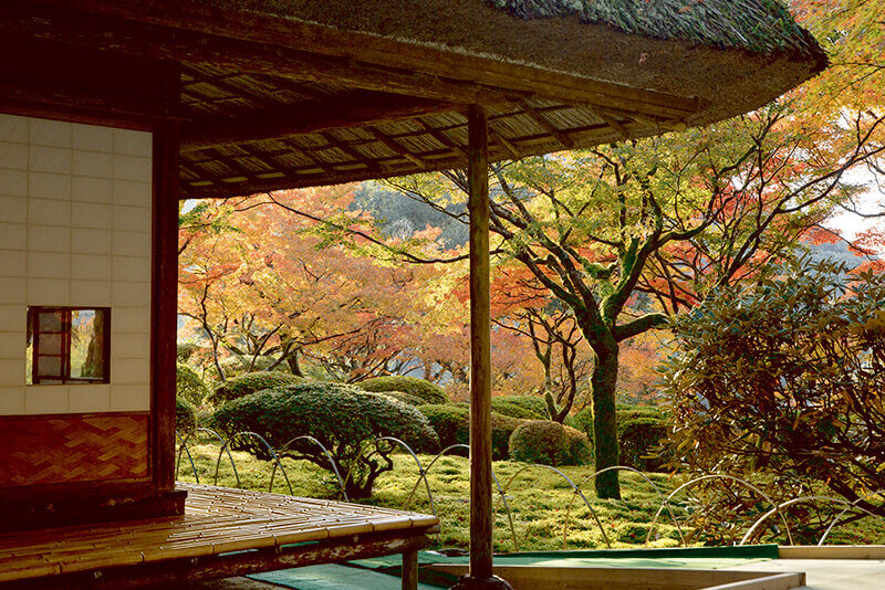 九年庵 紅葉