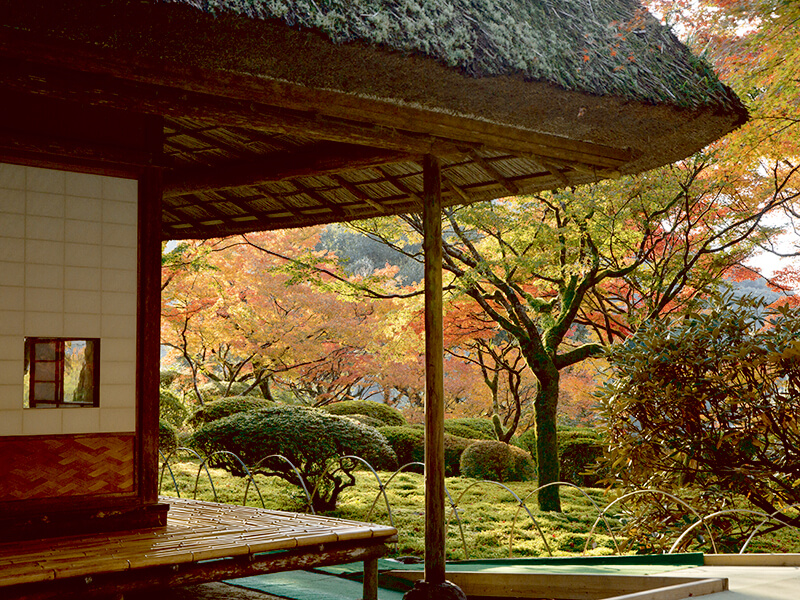 九年庵 紅葉